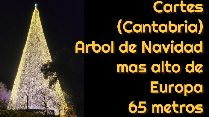 Conoce en este video el árbol de Navidad más alto de Europa (+video)