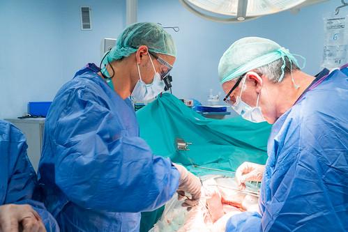 Quirónsalud Málaga, pionero en una innovadora técnica de reconstrucción vascular para el tratamiento de cáncer de páncreas localmente avanzado Quirónsalud Málaga, pionero en una innovadora técnica de reconstrucción vascular para el tratamiento de cáncer de páncreas localmente avanzado